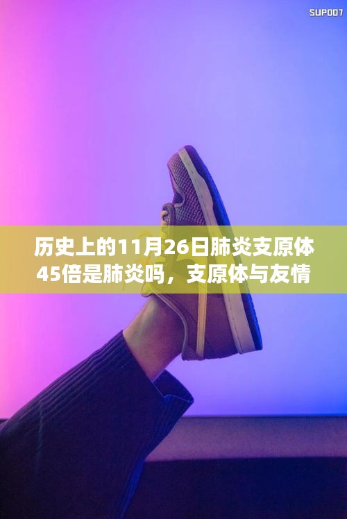 肺炎支原体与友情的交响，一场健康与陪伴的温馨历程（11月26日的历史回顾）