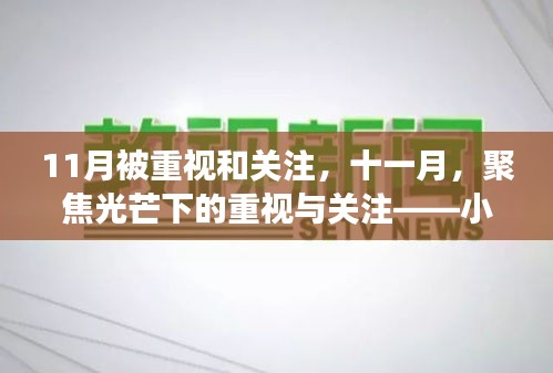 小红书视角下的十一月，聚焦光芒下的重视与关注