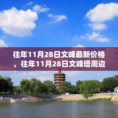 往年11月28日文峰最新价格及文峰塔周边房价查询指南，适合初学者与进阶用户