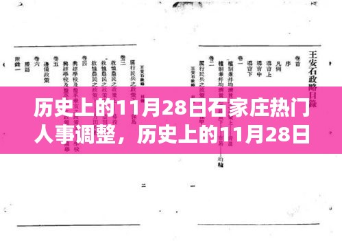 鸡飞狗跳 第6页