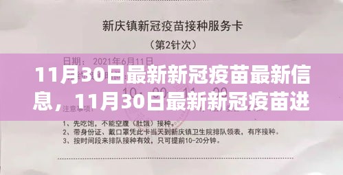新冠疫苗最新进展报告，前沿信息与深度解读（11月30日更新）