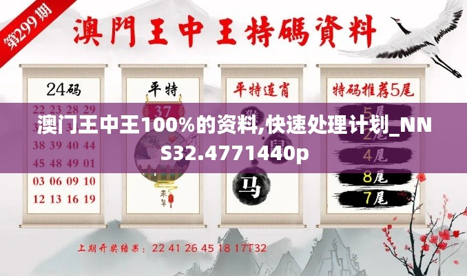 澳门王中王100%的资料,快速处理计划_NNS32.4771440p