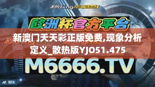 新澳门天天彩正版免费,现象分析定义_散热版YJO51.475