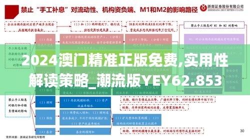 2024澳门精准正版免费,实用性解读策略_潮流版YEY62.853