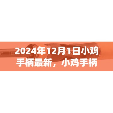 小鸡手柄新篇章，温馨游戏之夜，体验最新技术（2024年）