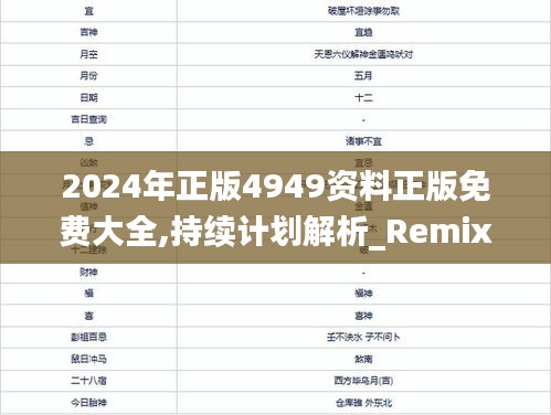 2024年正版4949资料正版免费大全,持续计划解析_RemixOS55.457-9