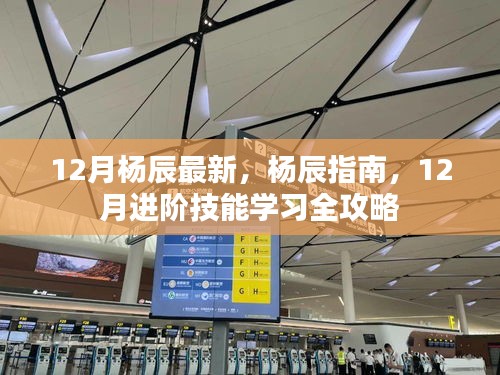 杨辰进阶指南，12月技能学习全攻略