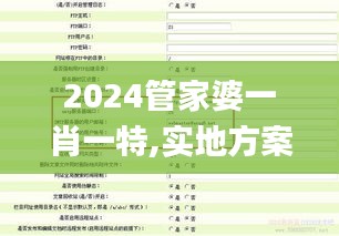 2024管家婆一肖一特,实地方案验证策略_SP94.673-1