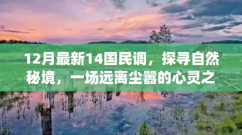 探寻自然秘境的心灵之旅，最新民调揭示的12月全国调查启示