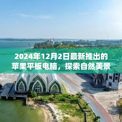 见仁见智 第5页
