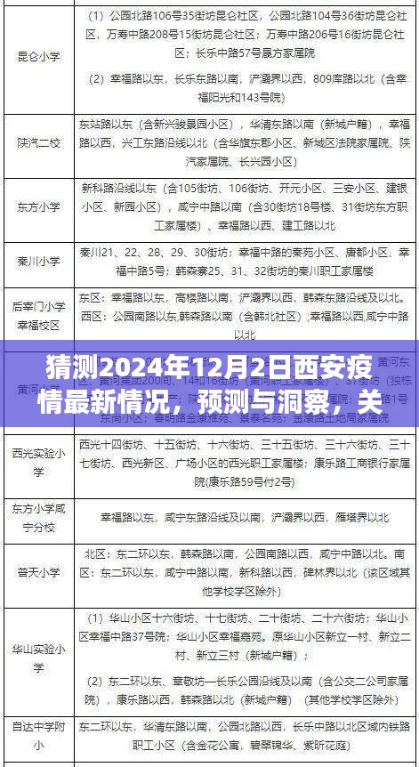 2024年12月2日西安疫情最新情况分析与预测洞察