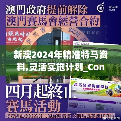 新澳2024年精准特马资料,灵活实施计划_Console46.590-5