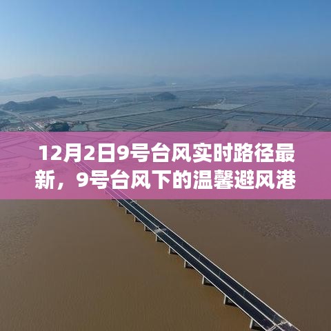 台风下的避风港，一场与风的冒险之旅