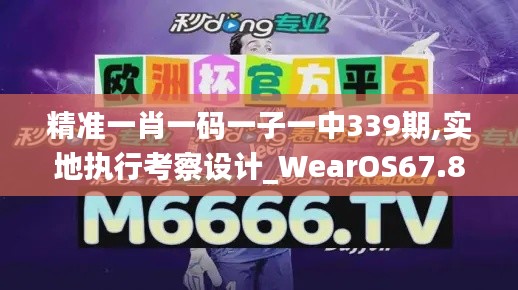 精准一肖一码一子一中339期,实地执行考察设计_WearOS67.885-6
