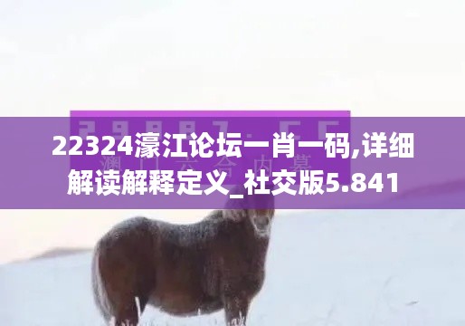 22324濠江论坛一肖一码,详细解读解释定义_社交版5.841