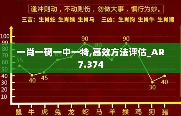 一肖一码一中一特,高效方法评估_AR7.374