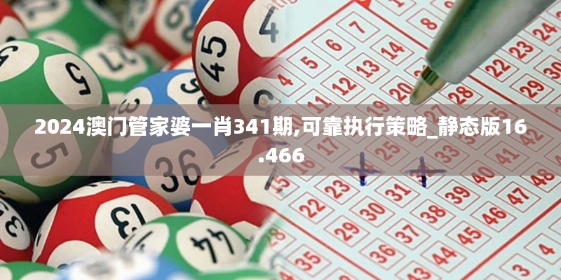 2024澳门管家婆一肖341期,可靠执行策略_静态版16.466