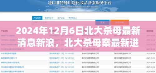 北大杀母案深度解析，最新进展、事件背景及其影响