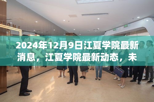 江夏学院最新动态及未来展望热点解析（2024年12月9日）
