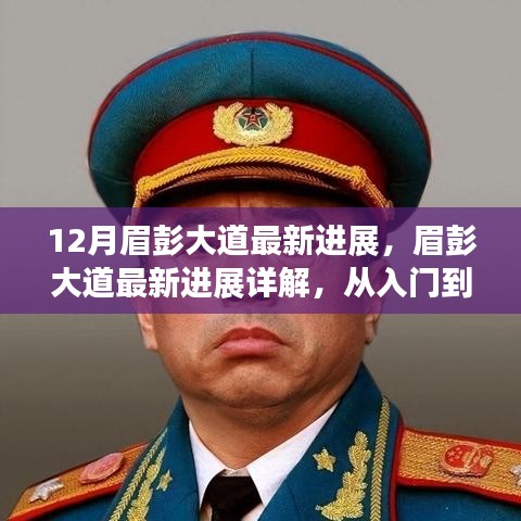 眉彭大道最新进展详解，入门到精通的步骤指南