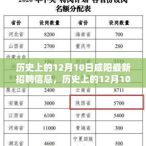 历史上的12月10日咸阳招聘信息概览，深度分析与观点阐述