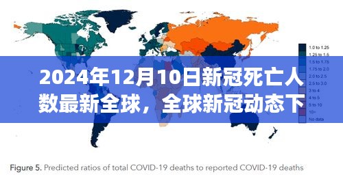 全球新冠动态下的爱与陪伴，温馨日常与死亡人数最新全球统计（2024年12月10日）