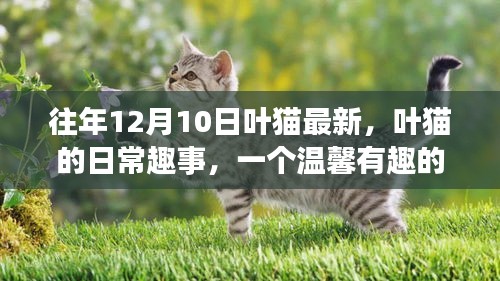 温馨回忆