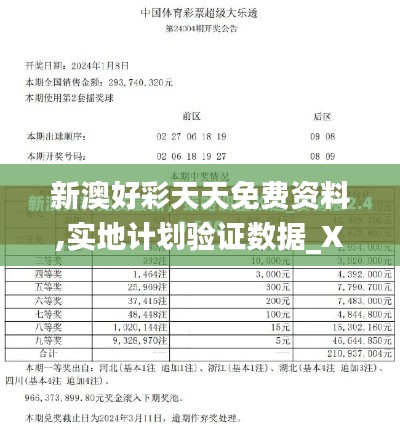 新澳好彩天天免费资料,实地计划验证数据_XR10.558