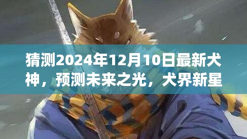 展望未来之光，2024年犬神风采猜想与犬界新星展望