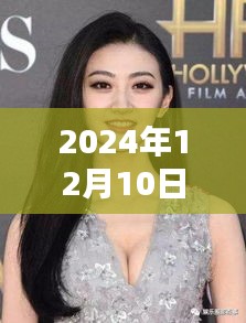 范冰冰巨星之光，闪耀2024年12月的新篇章揭秘