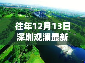 深圳观澜自然美景新发现，治愈之旅探寻心灵宁静角落的往年最新消息