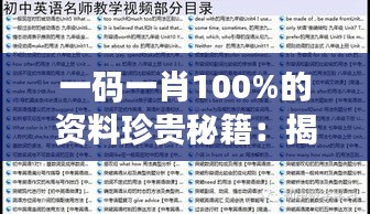 一码一肖100%的资料珍贵秘籍：揭秘高效率玩法
