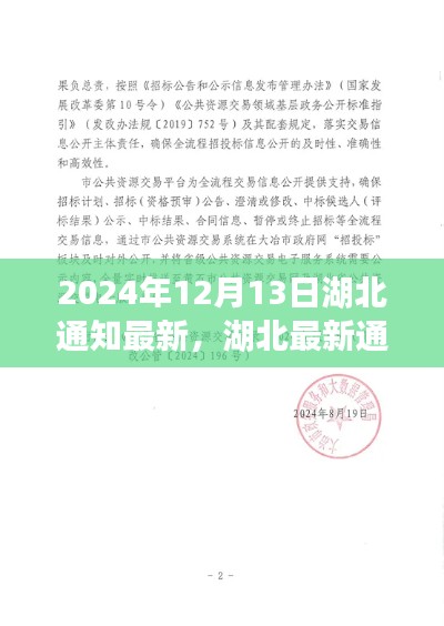湖北未来规划解读，最新通知聚焦要点（2024年12月版）