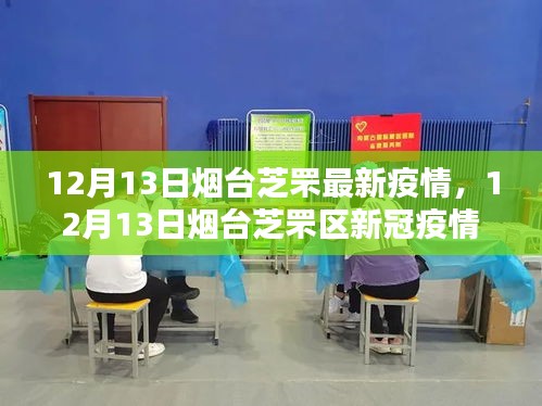 最新动态报告