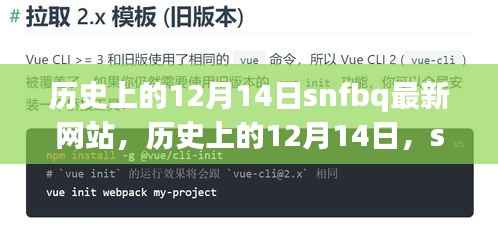 历史上的12月14日，SNFBQ最新网站全面评测与介绍