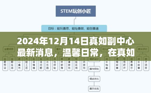 真如副中心最新动态，冬日奇遇与情感纽带，温馨日常在2024年12月14日展现