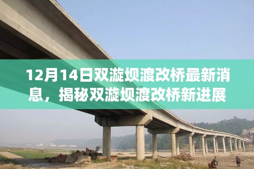 揭秘双漩坝渡改桥最新进展，神秘小巷特色小店中的新桥建设消息（12月14日）
