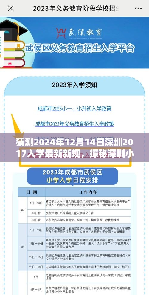 深圳教育新篇章，探秘小巷特色小店，预测未来入学新规