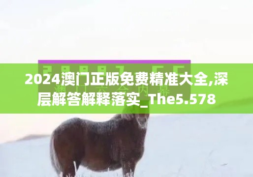 2024澳门正版免费精准大全,深层解答解释落实_The5.578