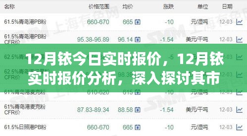 个人观点分析