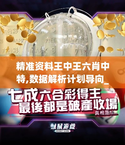 精准资料王中王六肖中特,数据解析计划导向_Prestige2.471