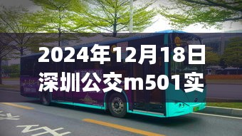 深圳公交M501带你领略自然美景，内心宁静之旅的启程日期揭晓