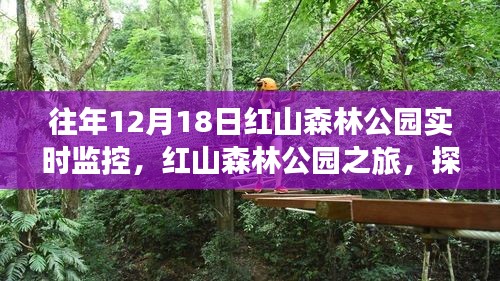 红山森林公园之旅，探索自然美景，寻找内心的宁静——实时探索纪实监控日活动体验