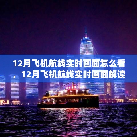 解读12月飞机航线实时画面，如何观察全貌与细节？
