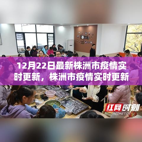 冬至之际株洲市疫情实时更新报告，坚守与曙光再现
