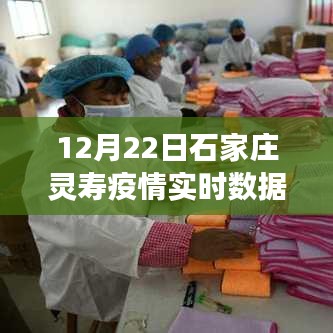 石家庄灵寿疫情实时数据报告，深度观察与影响分析（12月22日）