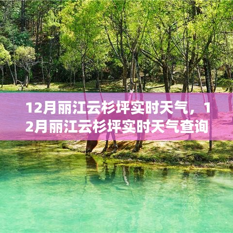 应对指南