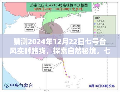 自然秘境探索