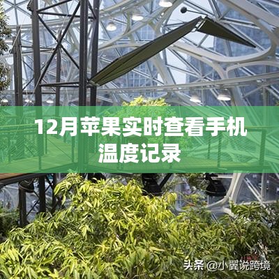 苹果实时温度监控，掌握手机温度记录
