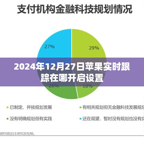 苹果实时跟踪开启设置方法（最新指南）
